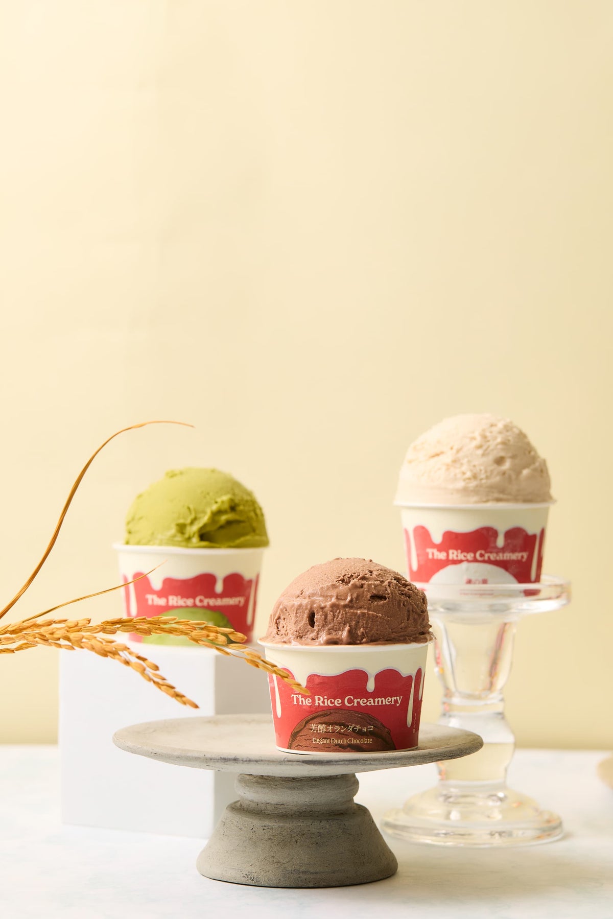 芳醇オランダチョコ 6個入